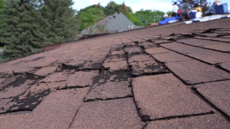 Best Roof Insulation Installation  in Ontario, OH